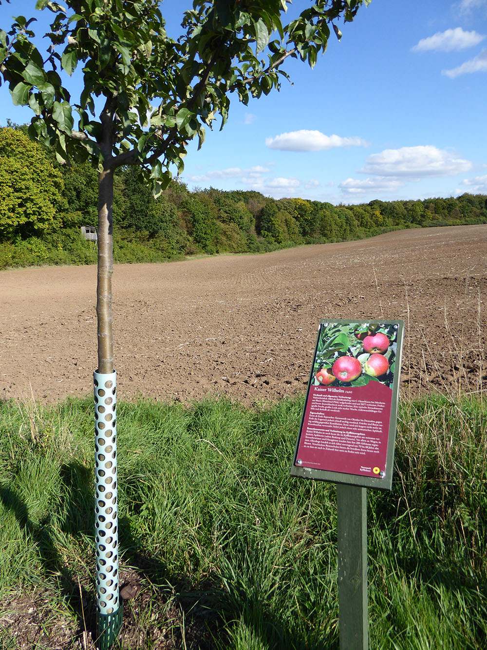 Obstbaum mit Beschilderung